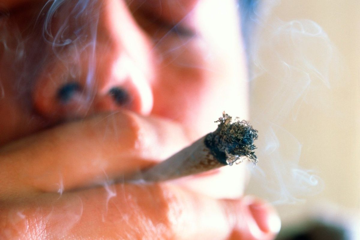 Тараканы курили марихуану изменения в наркотики